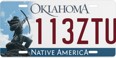 OK license plate 113ZTU