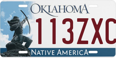 OK license plate 113ZXC