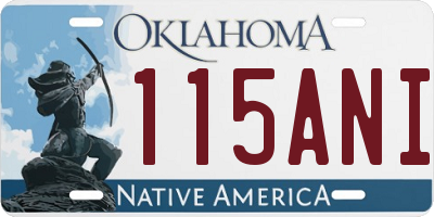 OK license plate 115ANI