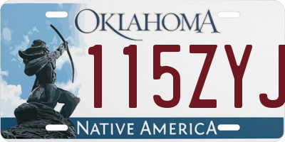 OK license plate 115ZYJ