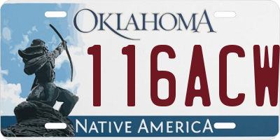 OK license plate 116ACW
