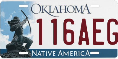 OK license plate 116AEG