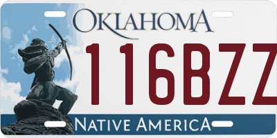 OK license plate 116BZZ