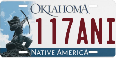 OK license plate 117ANI