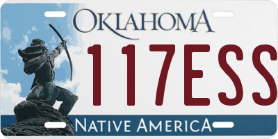 OK license plate 117ESS