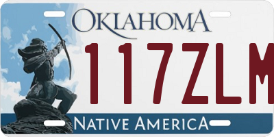 OK license plate 117ZLM