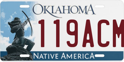 OK license plate 119ACM