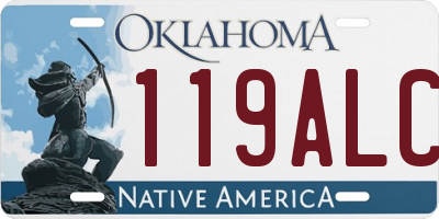 OK license plate 119ALC