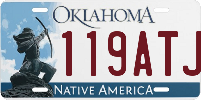 OK license plate 119ATJ