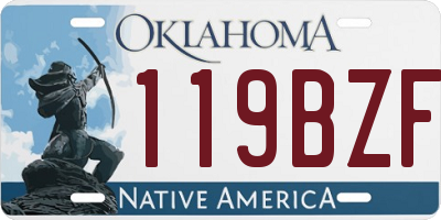 OK license plate 119BZF