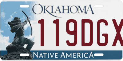 OK license plate 119DGX