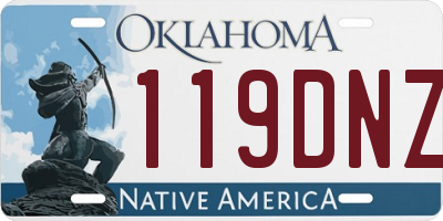 OK license plate 119DNZ