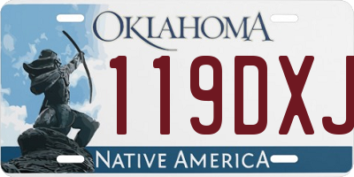 OK license plate 119DXJ