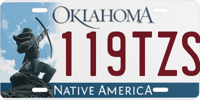OK license plate 119TZS