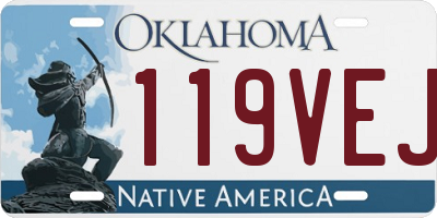 OK license plate 119VEJ
