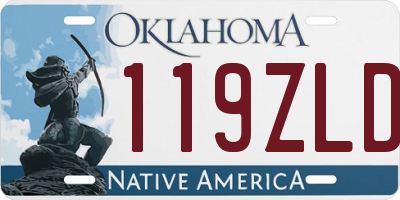 OK license plate 119ZLD