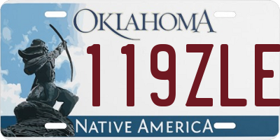 OK license plate 119ZLE