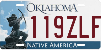 OK license plate 119ZLF