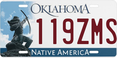 OK license plate 119ZMS