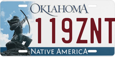 OK license plate 119ZNT