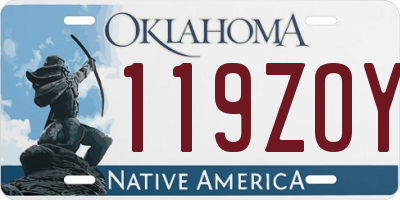 OK license plate 119ZOY