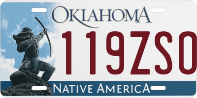 OK license plate 119ZSO