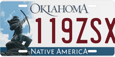 OK license plate 119ZSX