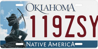 OK license plate 119ZSY