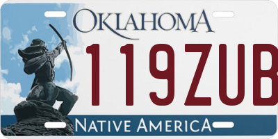 OK license plate 119ZUB