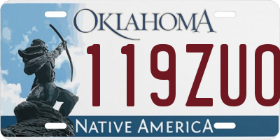 OK license plate 119ZUO