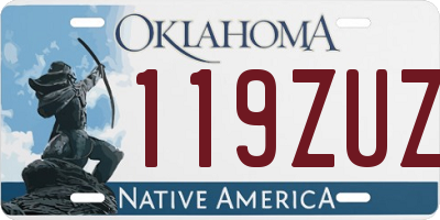 OK license plate 119ZUZ