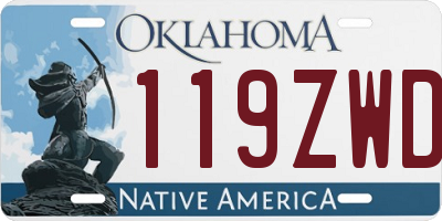 OK license plate 119ZWD