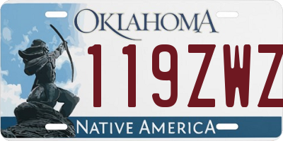 OK license plate 119ZWZ