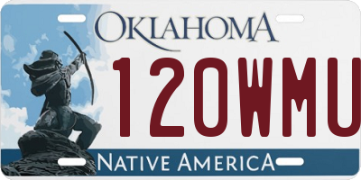 OK license plate 120WMU