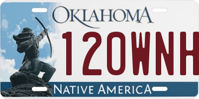 OK license plate 120WNH