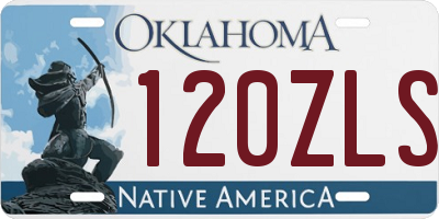 OK license plate 120ZLS