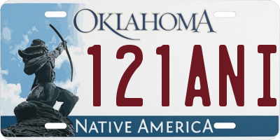 OK license plate 121ANI
