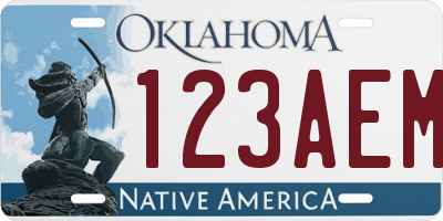 OK license plate 123AEM