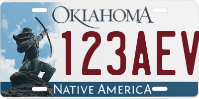 OK license plate 123AEV
