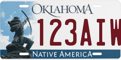 OK license plate 123AIW