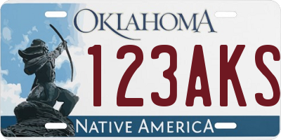 OK license plate 123AKS