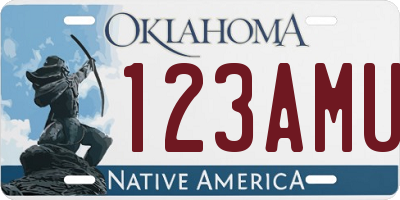 OK license plate 123AMU