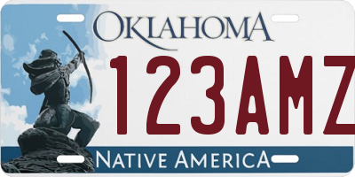 OK license plate 123AMZ