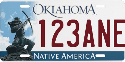 OK license plate 123ANE