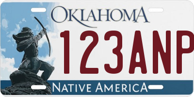 OK license plate 123ANP