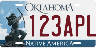 OK license plate 123APL