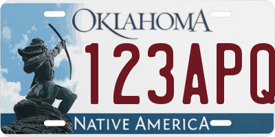 OK license plate 123APQ