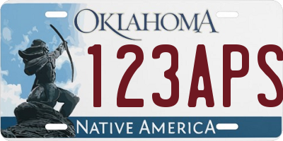 OK license plate 123APS