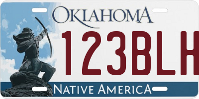 OK license plate 123BLH