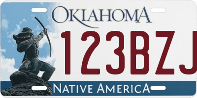OK license plate 123BZJ